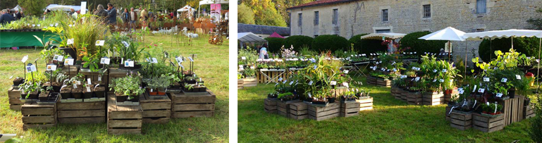 Fête Des Plantes Chateau De Péré 2021